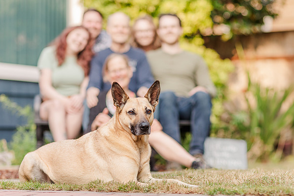 Family Home-7167