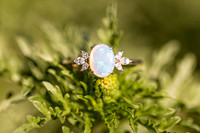 ElwahRiverFamilyEngagement-3710