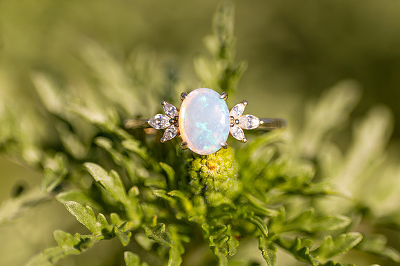 ElwahRiverFamilyEngagement-3710